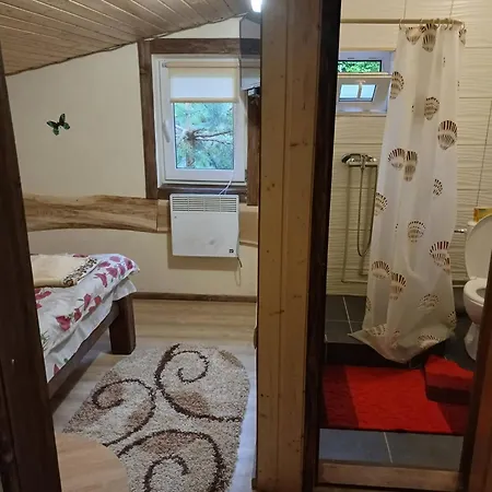 у василя на тростяні