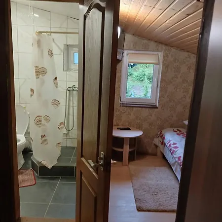 Ferienhaus у василя на тростяні Slawske