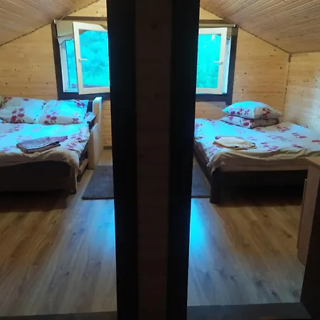 у василя на тростяні
